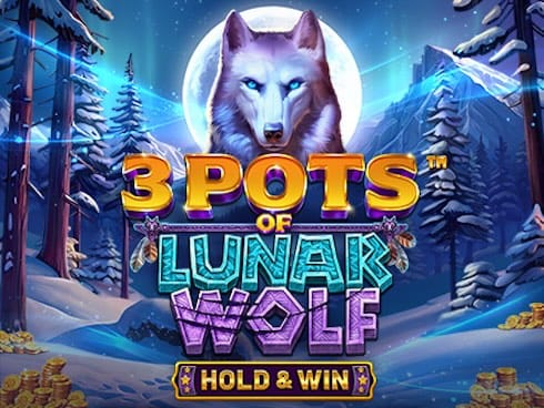 3 Pots of Lunar Wolf_ Hold and Win screenshot